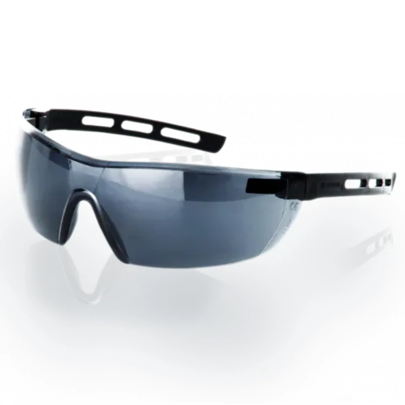 Lionyx SANTIAGO Aspect Vision S-206 okuliare šedé