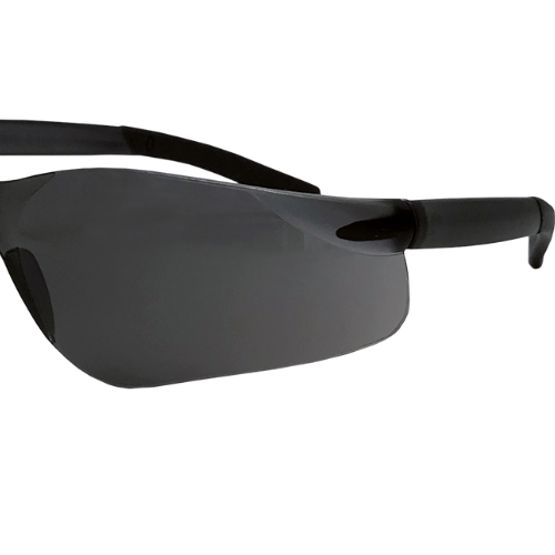 Reis GEORGIA Ochranné okuliare tónované